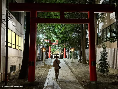 花園神社 2