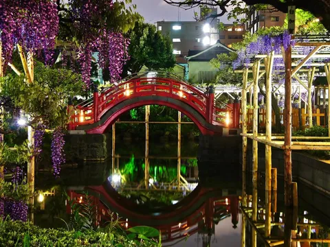 亀戸天神社 2