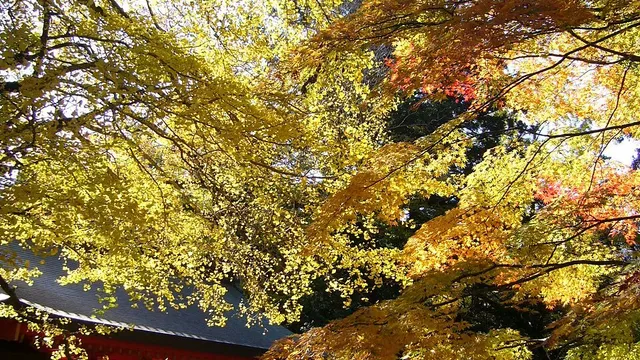 香取神宮