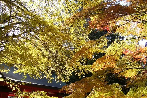香取神宮