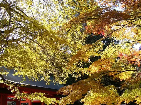 香取神宮