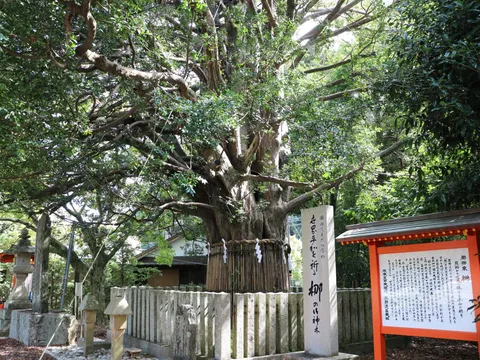 熊野速玉大社 3