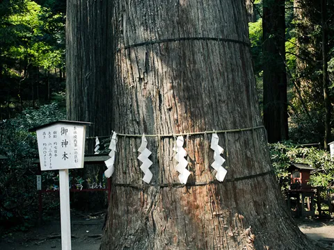 日光二荒山神社 3