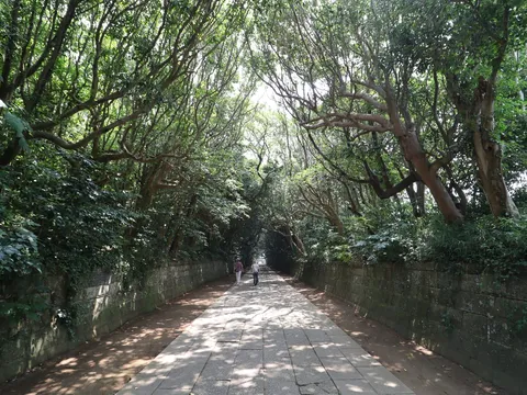 酒列磯前神社 3