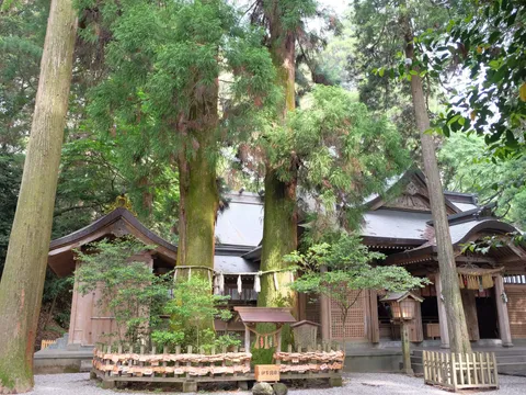 高千穂神社 3