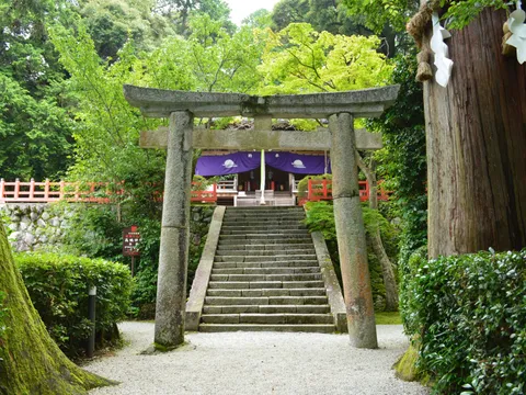 高鴨神社
