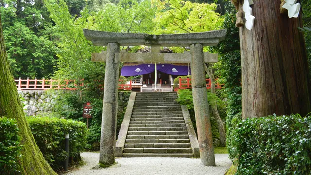 高鴨神社