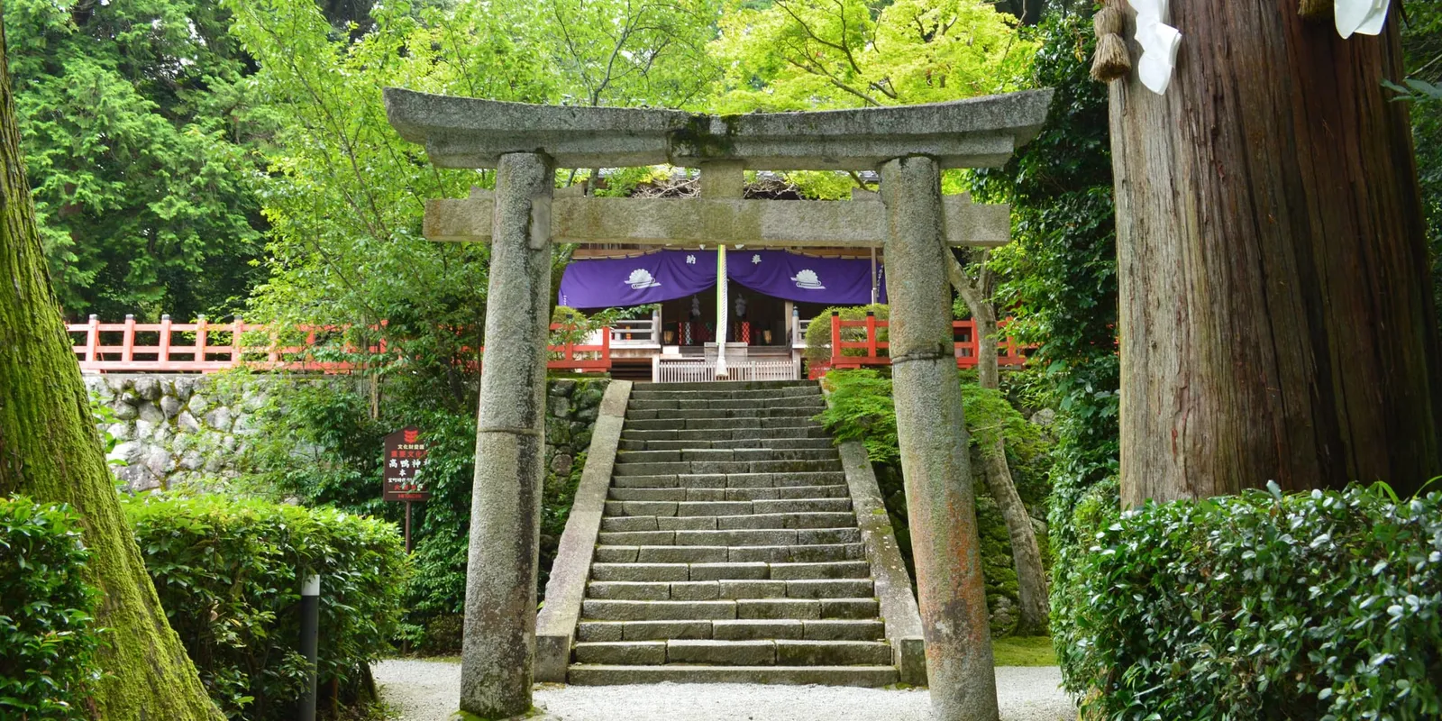 高鴨神社