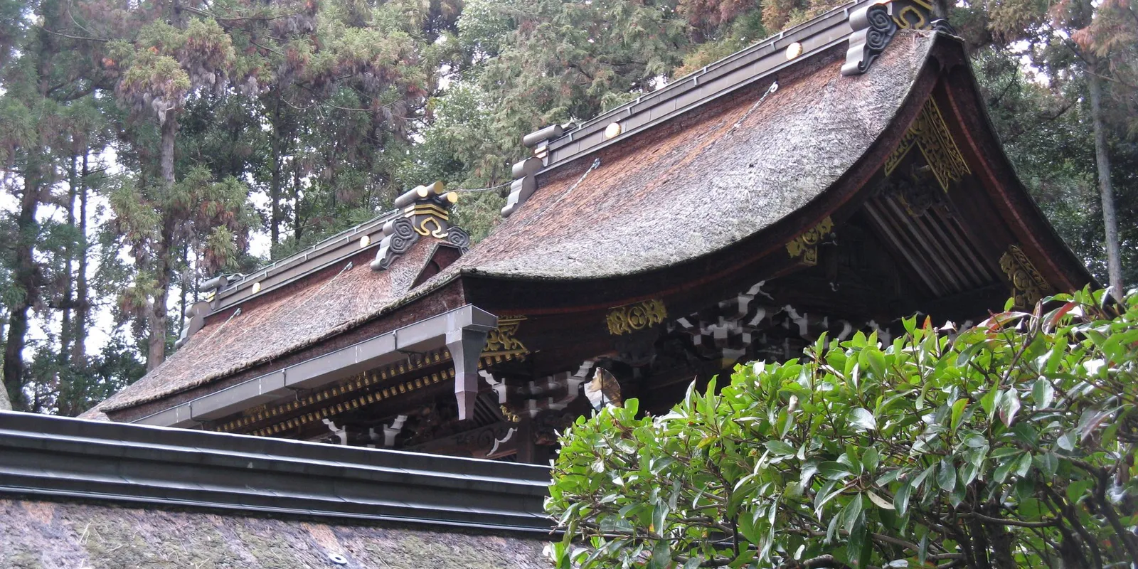 建部大社