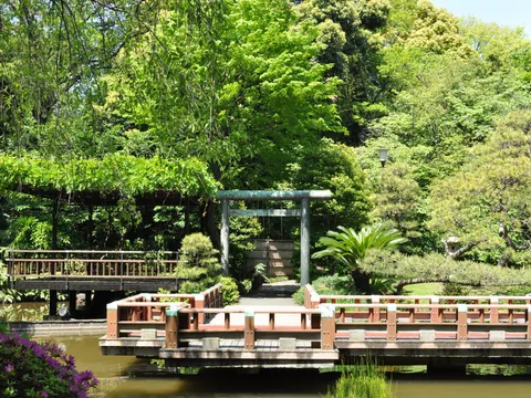 東郷神社 2