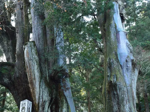 八坂神社 3