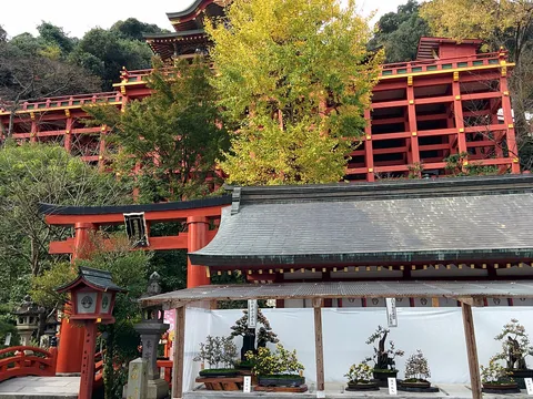 祐徳稲荷神社 3